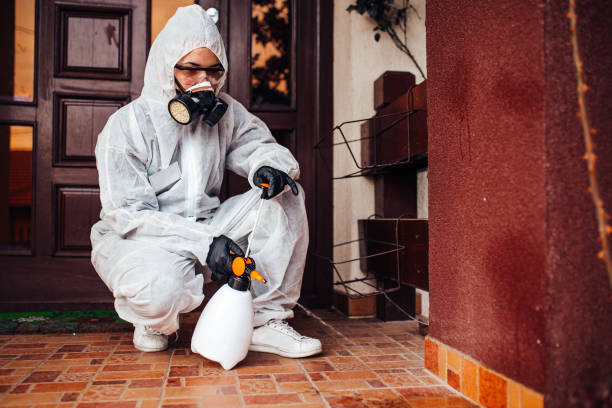 Reliable Wasp Removal contractor in Pioneer, CA by Show Me Pest Control